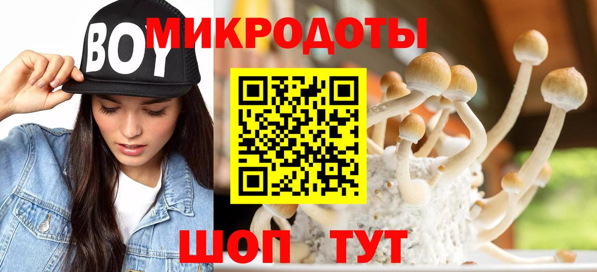 купить наркоту  Вход с VPN  Сыктывкар  Галлюциногенные грибы Psilocybine cubensis 