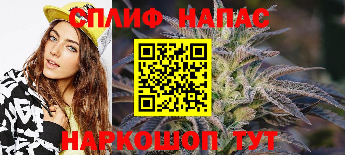 Конопля планчик  Конопля план  Вход с VPN  Сыктывкар 